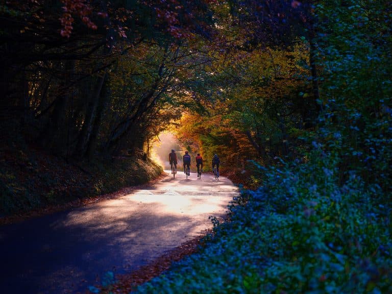 Cover Image for Cycle, Sip, Supper & Sleep: Are you ready to ride?